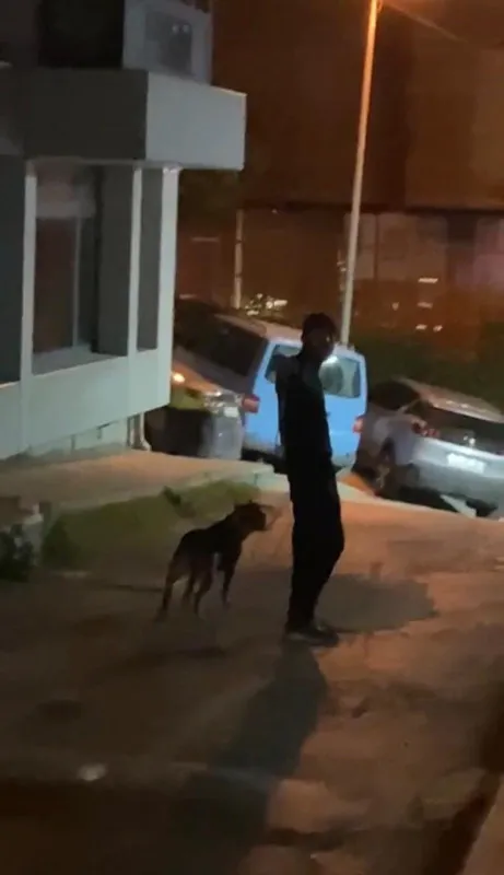 istanbulda-dehset-anlari-tartistigi-adama-pitbull-cinsi-kopegini-saldirtti-1704278080436.jpg İstanbul'da dehşet anları! Tartıştığı adama pitbull cinsi köpeğini saldırttı - 1