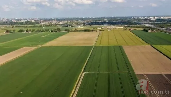 TOKİ arsa kura çekilişi ne zaman, hangi tarihte başlıyor? 2023 TOKİ arsa kuraları ne zaman çekilecek? 2