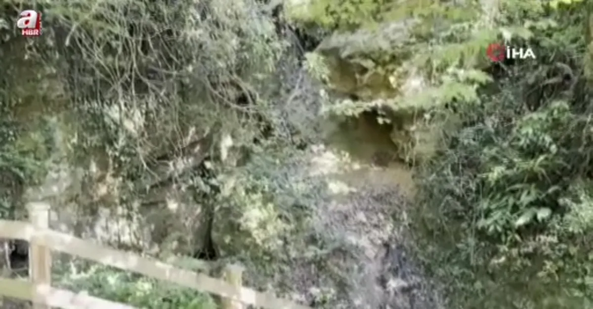 Sıcaktan bunalanalar bu mağaraya geliyor