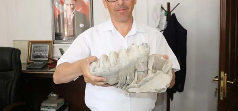 Tarlada 8 milyon yıllık fosil buldu
