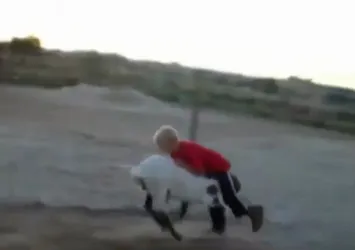 Bu hayvanlar çok çılgın