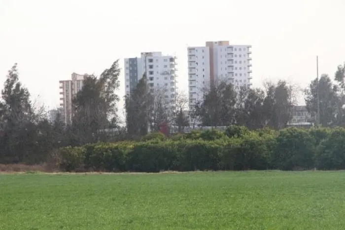 Yol kenarındaki arazilerde üretilen 'köy ürünü'nde büyük tehlike! Uzman isimden kritik uyarı geldi - 4