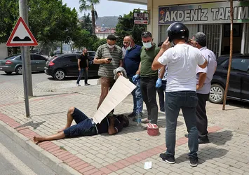 Arı yüzünden ölüyordu! Kartonla gölgelik yaptılar