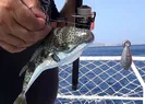 Balıkçılara büyük şok!