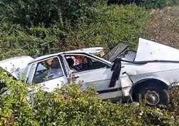 Adana'da can pazarı! Otomobil narenciye bahçesine uçtu: Kaza anı kamerada