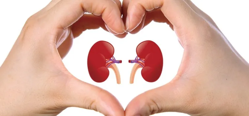 Böbrekleri korumak için...