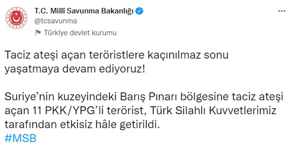 Son dakika: Barış Pınarı Bölgesi’nde 11 teröristin etkisiz hale getirildi