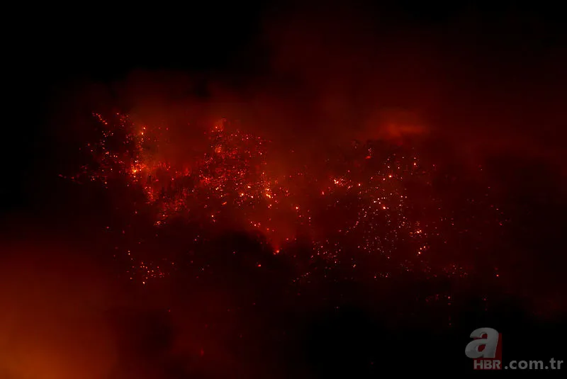 İzmir orman yangını son durum | İzmir yangın son dakika söndürüldü mü? 7