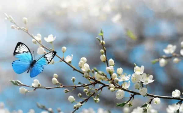 cemre-ne-zaman-duser-2023-ucuncu-cemre-topraga-dustu-mu-ne-zaman-dusecek-1678888267292.jpg Cemre nedir, ne zaman düşer 2023? Üçüncü cemre toprağa düştü mü? İşte tarihi... - 4