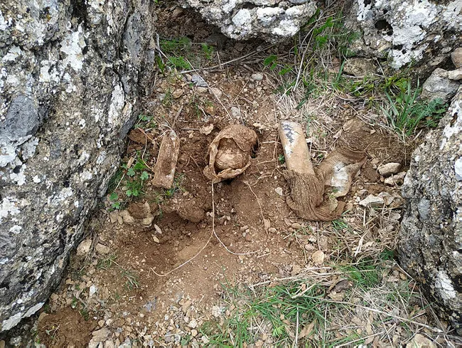Siirt'te teröristlerin tuzakladığı EYP imha edildi - 1