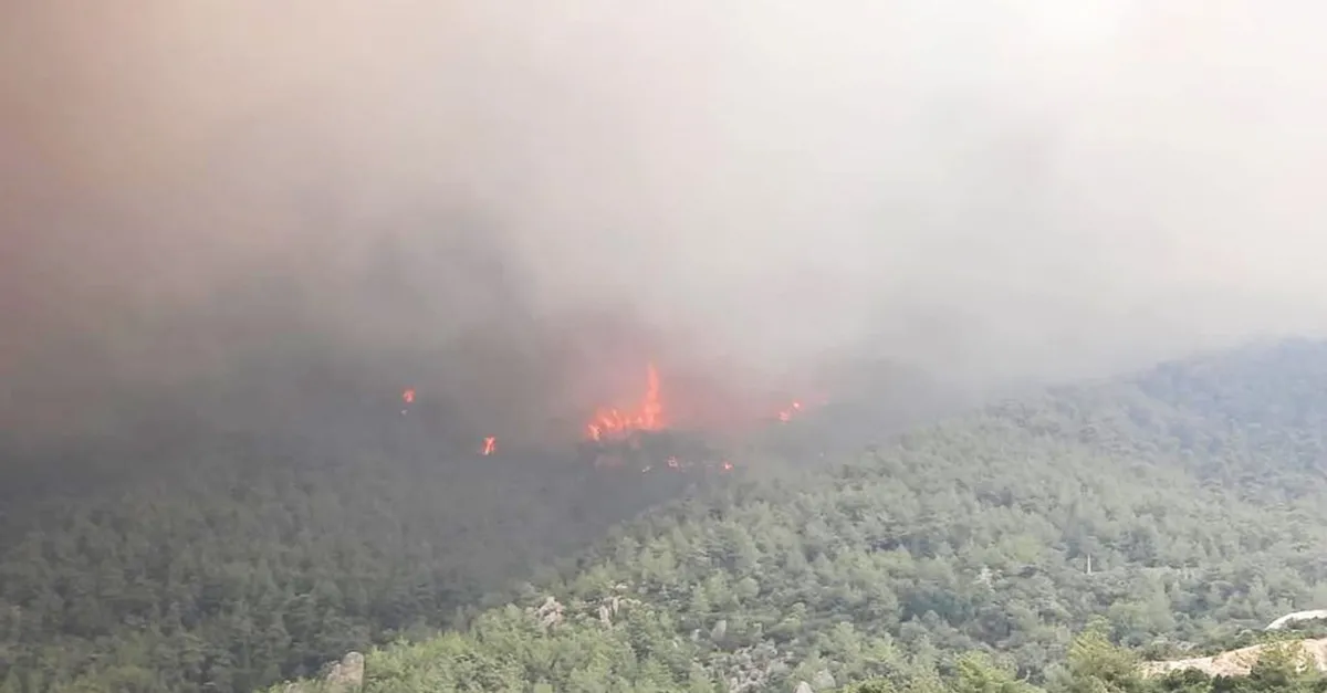 Aydın'ın Çine ilçesinden orman yangını: Akçaova'daki 4 mahalle tehdit altında