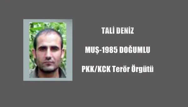 PKK'lı Şiyar-Rüstem kod adlı Deniz Tali etkisiz hale getirildi - 1