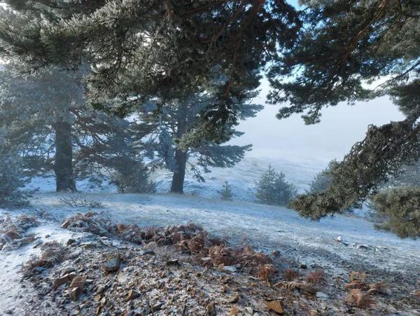 3 ile kar yağacak! Meteoroloji "hangi illere kar yağacak?" sorusuna cevap verdi! İşte kar yağacak iller - 2
