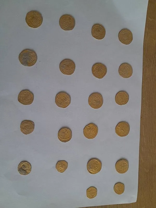 hatayda-bizans-donemine-ait-22-sikke-bulundu-1713297416452.jpeg Hatay'da Bizans dönemine ait 22 sikke bulundu - 1