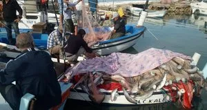 Lüfer avından 1,5 ton kefalle döndü