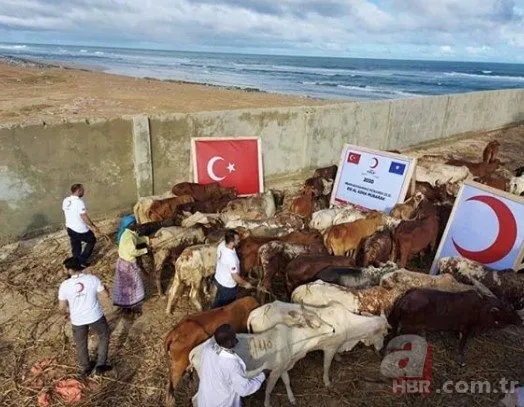 Türk yardım kuruluşları dünyanın dört bir yanında kurban eti dağıtıyor