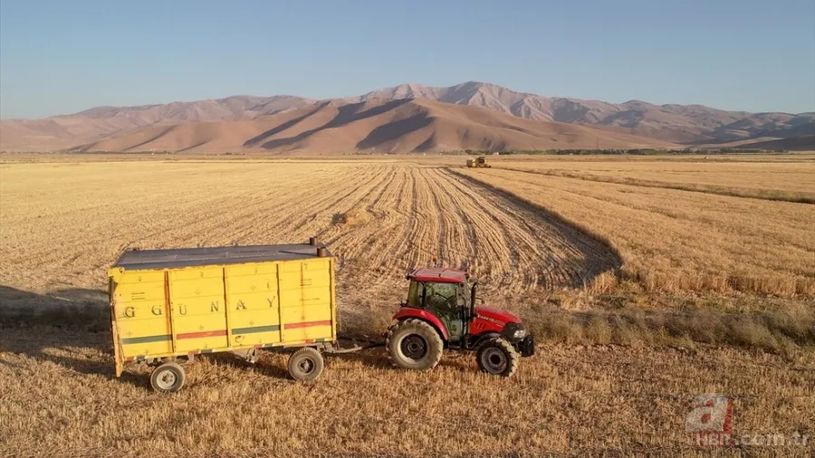 Van'da hububat üretiminde yüzde 75 artış! Sertifikalı tohumla ekim yapılıyor 1