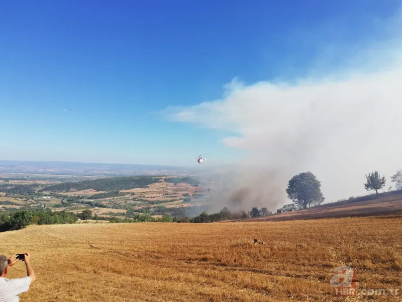 Bursa Yenişehir'de korkutan orman yangını! 13