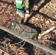 Mezardan servet çıktı! Yetkililer gözlerine inanamadı