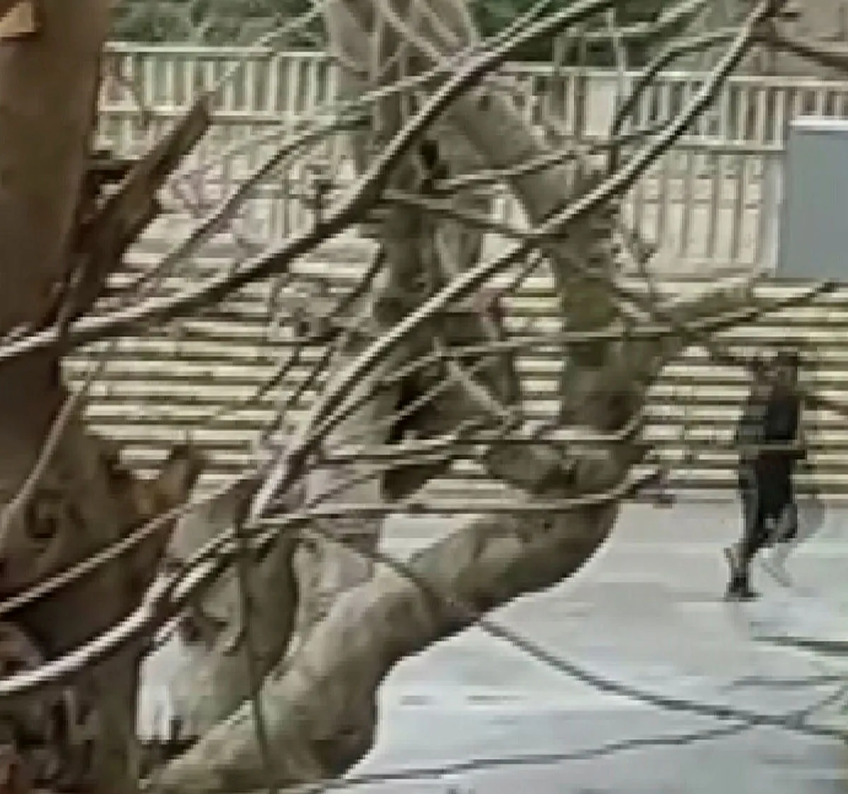 İstanbul'da kan donduran olay! 3 çocuğunu asarak intihar etti