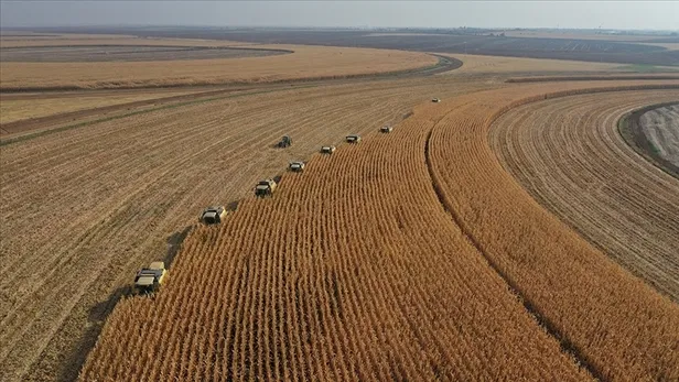 Mazot ve Gübre desteği yattı mı? T.C kimlik numarasına göre ödeniyor... Mazot ve Gübre Destekleri Hesaplara Ne Zaman Geçecek?