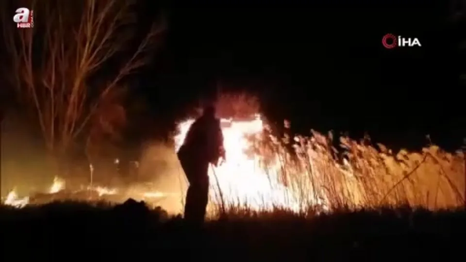 Malatya’da sazlık yangını!