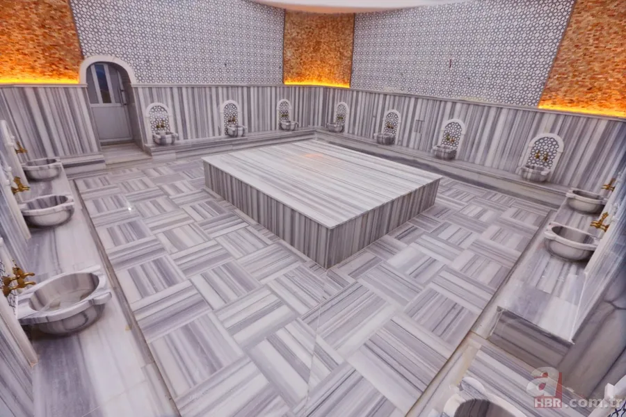 Şifalı tarif ve reçeteleri günümüz hastalıklarında bile etkili! İbn-i Sina 10 asır önce KALEME ALDI! Baş ağrısı, uçuk, mantar, böbrek taşı... 4