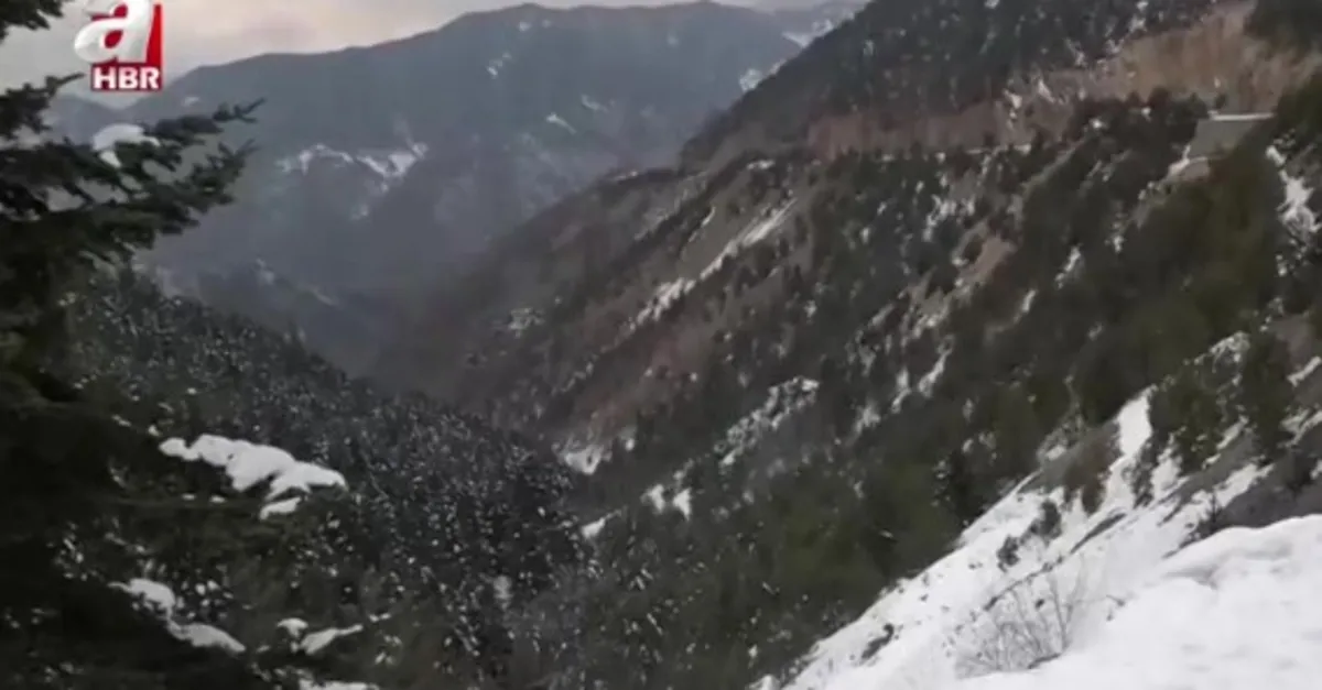 Zigana Dağı'nda kar yağışı etkili
