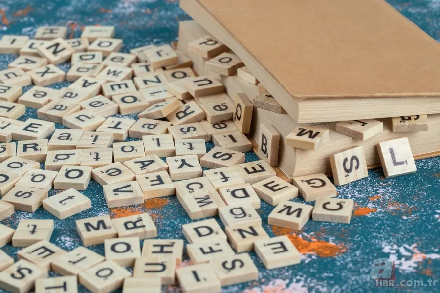 TDK 2024 yılının kelimesi ne oldu? Kalabalık yalnızlık ne demek, ne anlama geliyor? 1