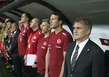 Şenol Güneş'ten Suat Serdar açıklaması