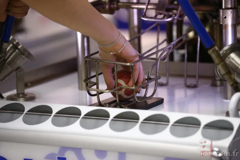 Milli Piyango sonuçları sıralı tam liste! Milli Piyango 2019 sorgulama ekranı! Amorti çıkan numaralar 8