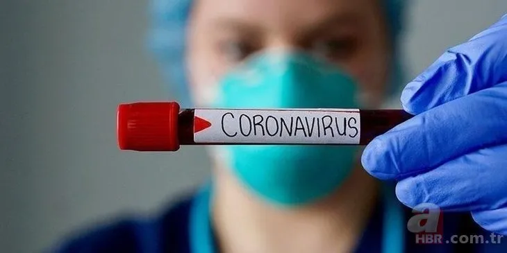 Vücuttaki zehri yok eden besin koronavirüse de iyi geliyor mu? İşte zehri silen o besin...