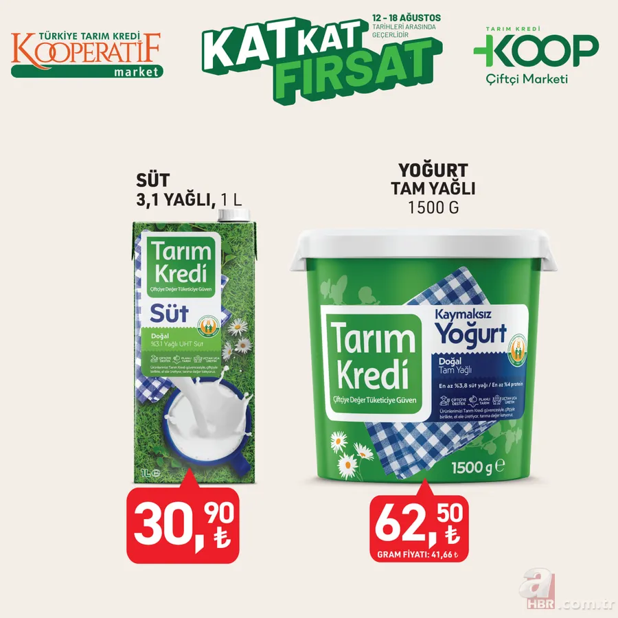 13-18 Ağustos Tarım Kredi Kooperatifi kampanyası: Zeytinyağı, tavuk baget çeşitleri, dana kıyma ve daha birçok üründe özel fiyatlar 13
