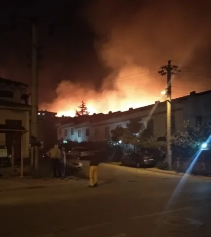 Son dakika: Yalova'da korkutan orman yangını | Olay yerinden ilk görüntüler - 2