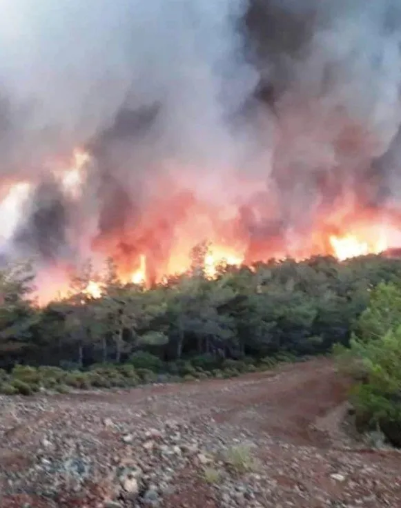 Marmaris yangın son dakika: Marmaris yangını neden çıktı, son durum ne? Muğla Marmaris yangını için açıklamalar...