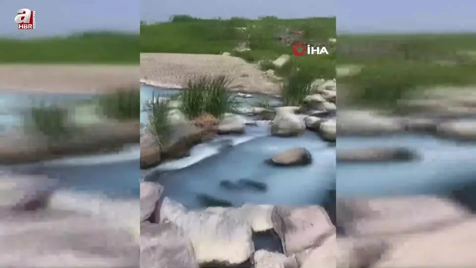 Marmara Denizi tehlikede