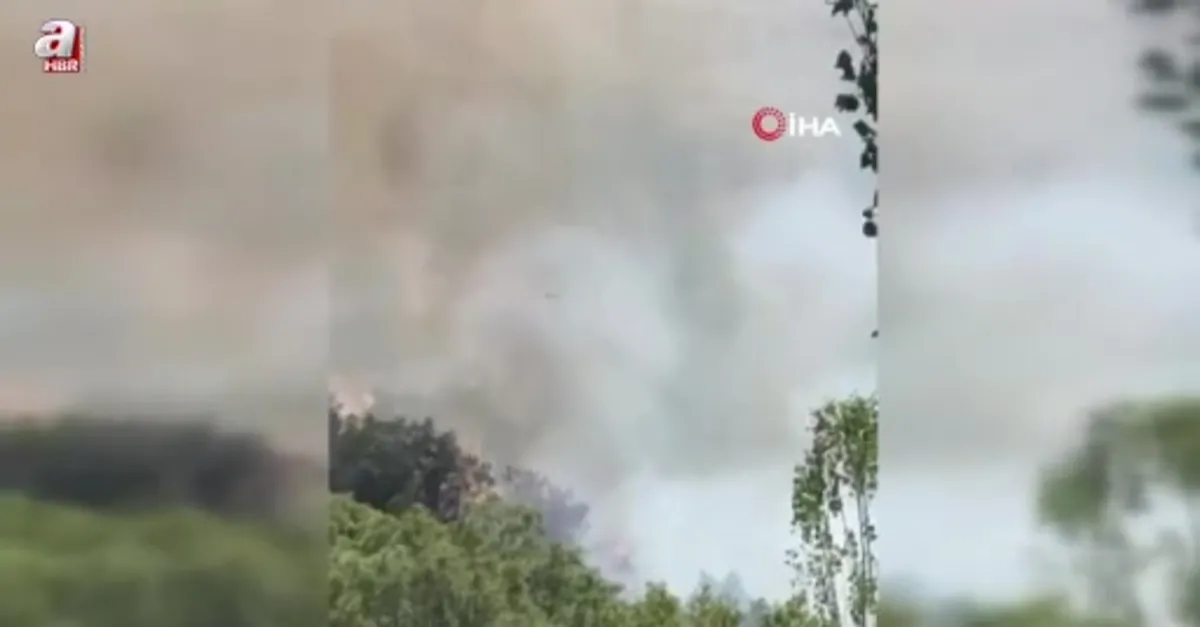 Hakkari Şemdinli'de orman yangını