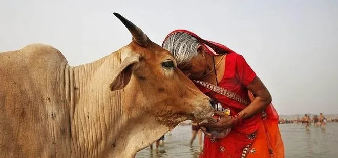 Hindistan’da inek çalanları linç ettiler