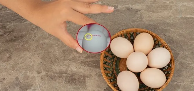 Organik yumurta nasıl anlaşılır? Satın alırken buna bakın! 0,1,2,3 numara yazıyorsa...