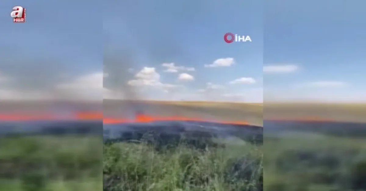 Ankara’da anız yangını