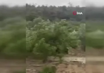 Güneş yerini yağmur ve lodosa bıraktı