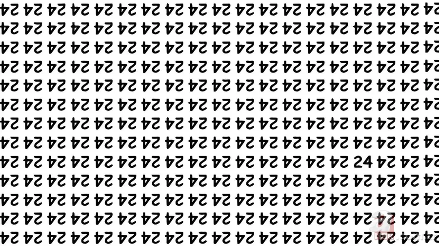 Optik illüzyon testi: Bu gizli 24’ü görebilir misin? Onu bulmak hiç kolay değil 1