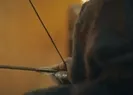 Osman Beyden İnegöle baskın