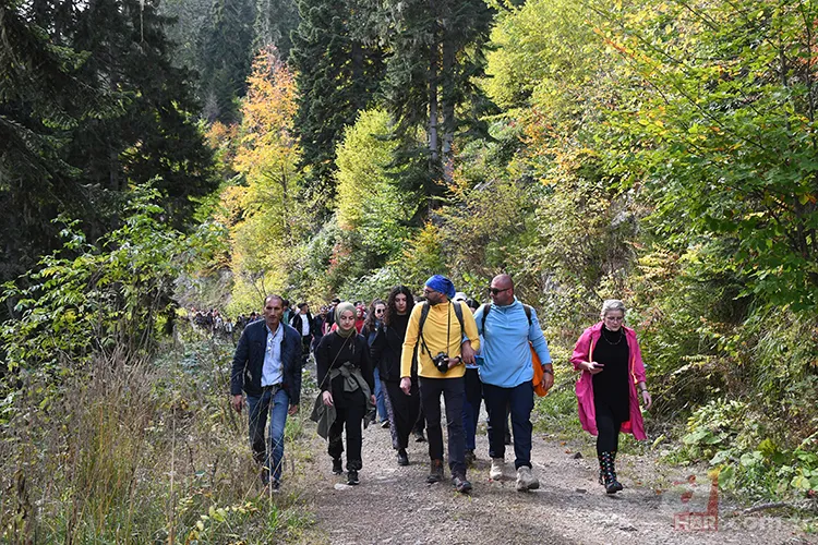 Sadece manzara değil, tedavi! Doğanın insan üzerindeki etkisi: Kokusu bile yetiyor 6