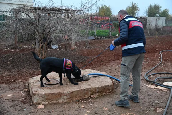 Son dakika: Kökünü Kurutma ve Zincir-2 Operasyonu! İçişleri Bakanı Süleyman Soylu gözaltı sayısını açıkladı - 6