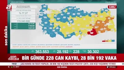 Koronavirüste son durum