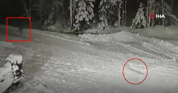 Rusya’da çocuğun ölümden mucize kurtuluşu kamerada! Kurt ile köpek karşı karşıya geldi...