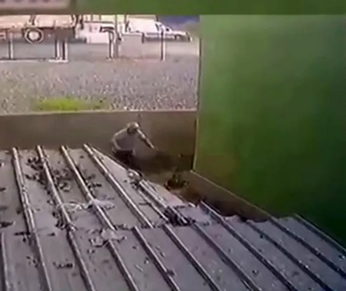 İstanbul'da vicdanları sarsan olay! Köpeğin kafasını sopayla kırdı - 6