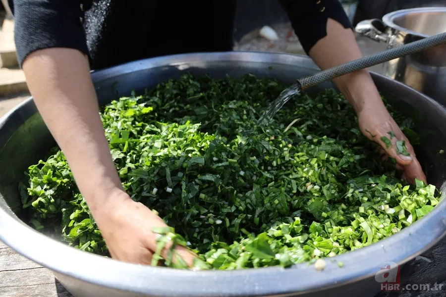 Yılda sadece iki ay toplanıyor! Zehirden şifaya mucizevi dönüşüm 4