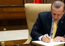 Son dakika: Başkan Erdoğandan 83 milyona bayram mektubu